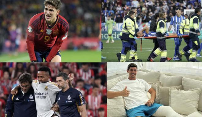 东契奇的动 东契奇的动